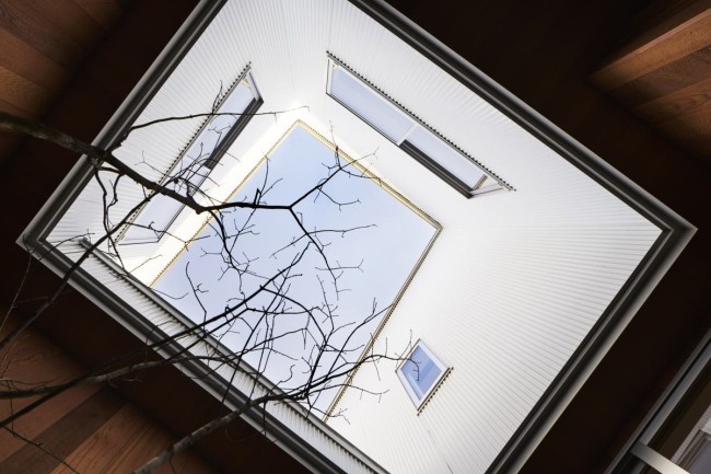 ちいさな坪庭を見上げる