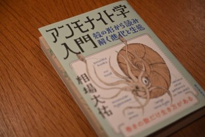 アンモナイト学入門